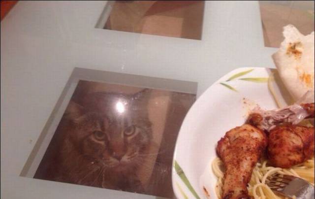 daily picdump 105 pics 17.html - 105 HD Photos | Premium Gallery 2015