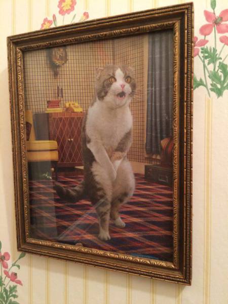 daily picdump 105 pics 17.html - 105 HD Photos | Premium Gallery 2015