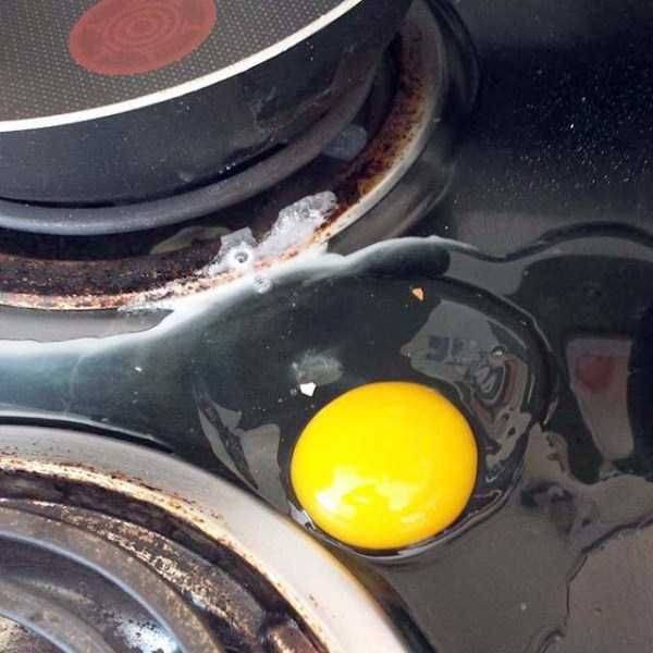 daily picdump 105 pics 17.html - 105 HD Photos | Premium Gallery 2015