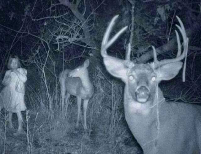 daily picdump 105 pics 17.html - 105 HD Photos | Premium Gallery 2015