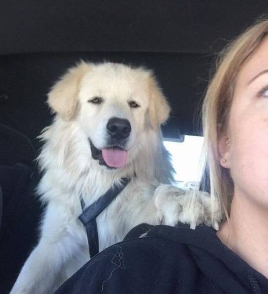 daily picdump 105 pics 17.html - 105 HD Photos | Premium Gallery 2015