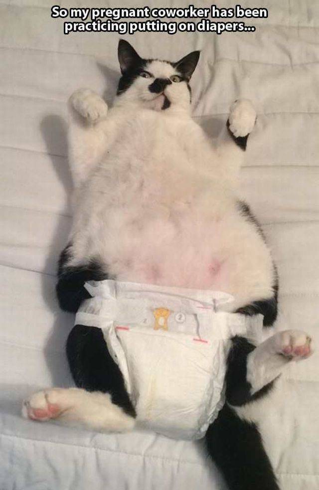 daily picdump 105 pics 17.html - 105 HD Photos | Premium Gallery 2015