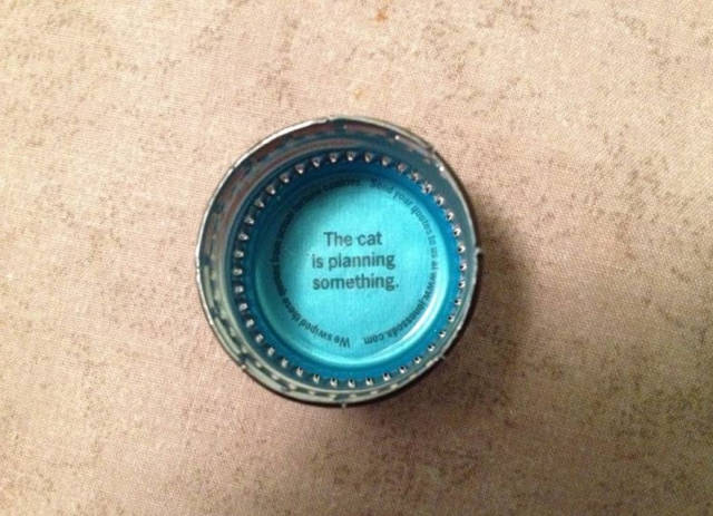 morning picdump 50 pics 15.html - 50 HD Photos | Premium Gallery 2015