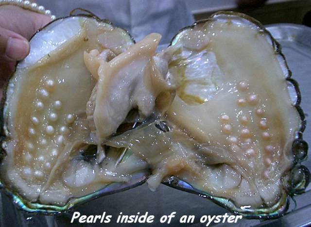 page,31,top 1500 daily pics of the year 2015.html - 1 HD Photos | Premium Gallery 2015