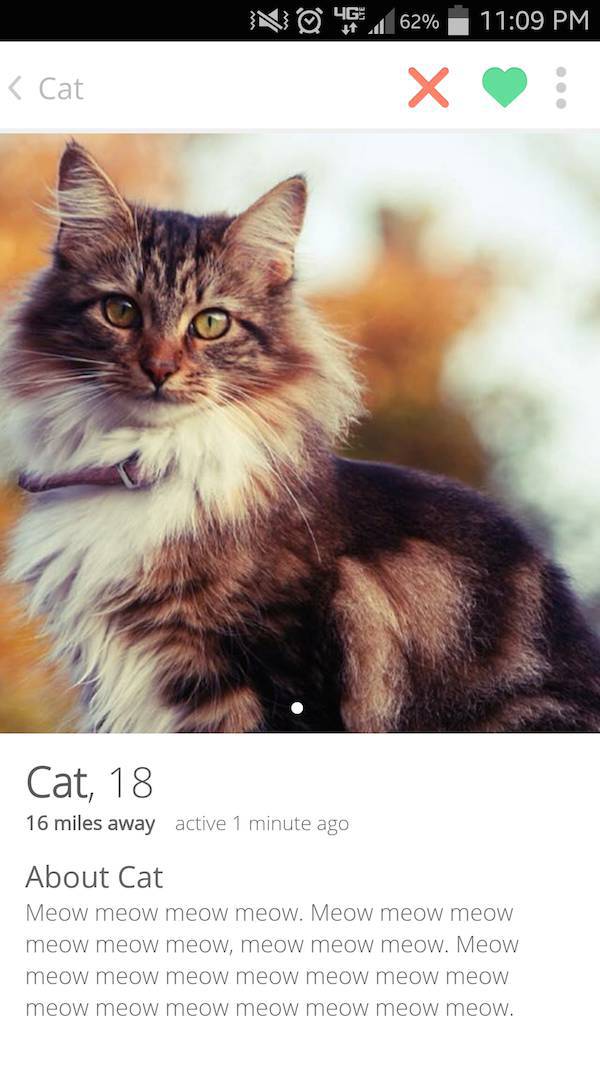 Tinder Profiles That Aren’t Messing Around