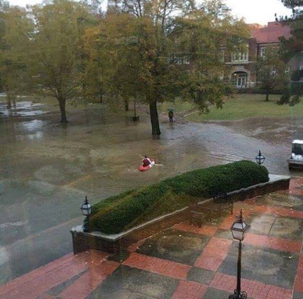 morning picdump 51 pics 4.html - 51 HD Photos | Premium Gallery 2015