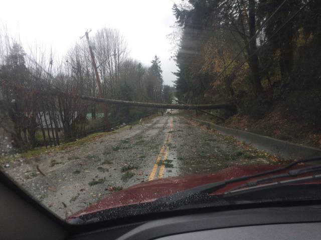 morning picdump 51 pics 4.html - 51 HD Photos | Premium Gallery 2015