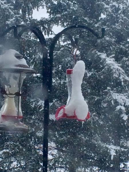 morning picdump 51 pics 4.html - 51 HD Photos | Premium Gallery 2015