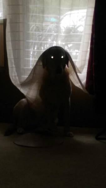 daily picdump 95 pics 77.html - 95 HD Photos | Premium Gallery 2015