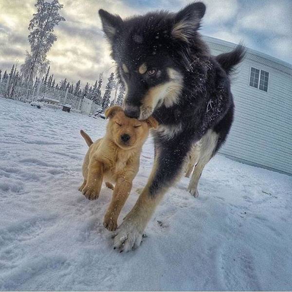 daily picdump 95 pics 77.html - 95 HD Photos | Premium Gallery 2015