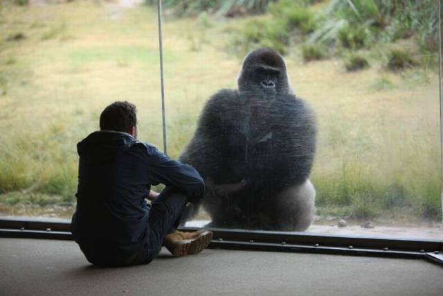 daily picdump 95 pics 77.html - 95 HD Photos | Premium Gallery 2015