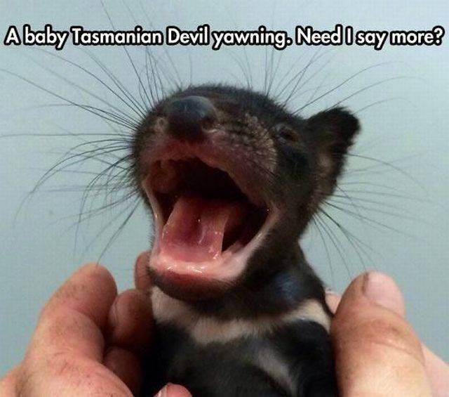 daily picdump 95 pics 77.html - 95 HD Photos | Premium Gallery 2015