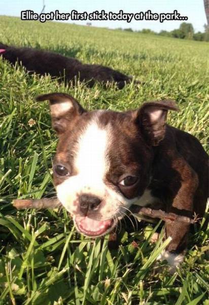 daily picdump 95 pics 77.html - 95 HD Photos | Premium Gallery 2015