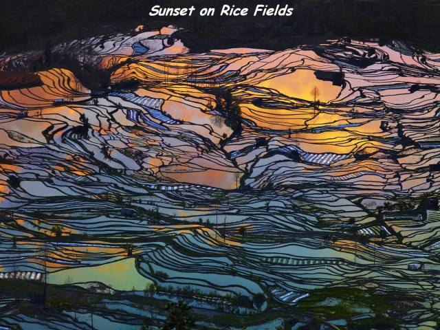 page,12,top 1500 daily pics of the year 2015.html - 1 HD Photos | Premium Gallery 2015