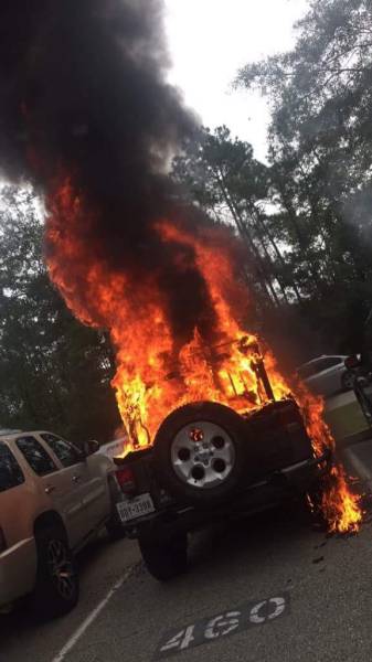 daily picdump 95 pics 77.html - 95 HD Photos | Premium Gallery 2015