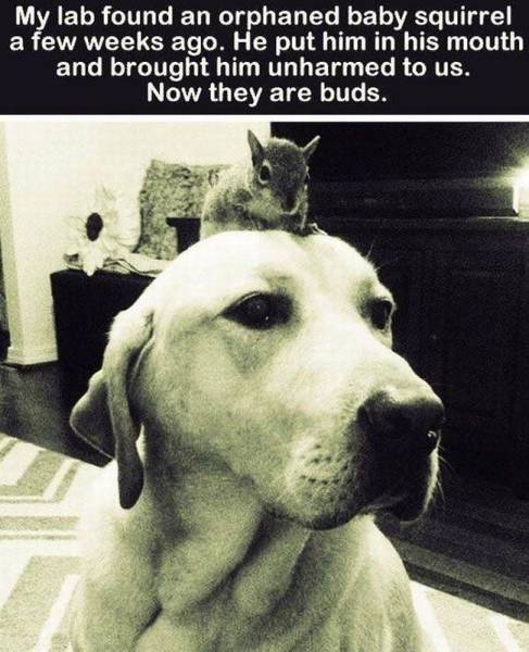 daily picdump 95 pics 77.html - 95 HD Photos | Premium Gallery 2015