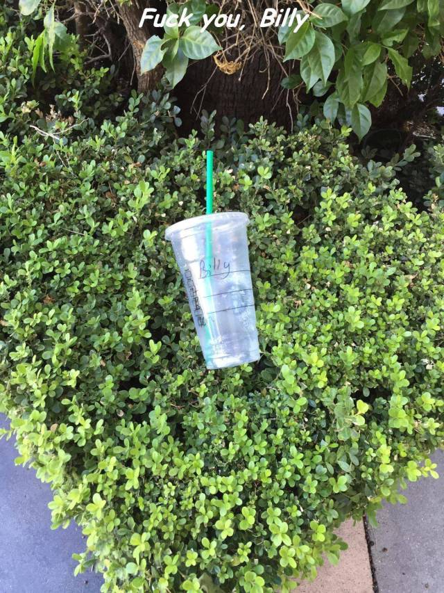 daily picdump 95 pics 77.html - 95 HD Photos | Premium Gallery 2015