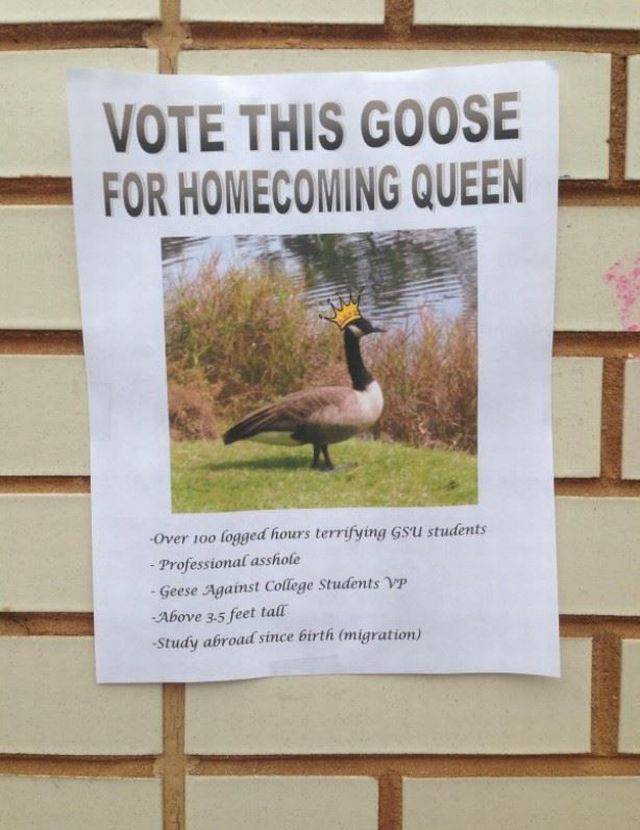 daily picdump 95 pics 77.html - 95 HD Photos | Premium Gallery 2015