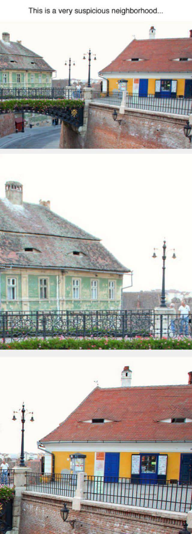 daily picdump 95 pics 77.html - 95 HD Photos | Premium Gallery 2015