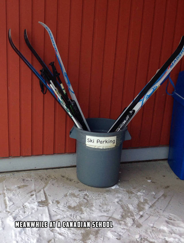 morning picdump 50 pics 2.html - 50 HD Photos | Premium Gallery 2015