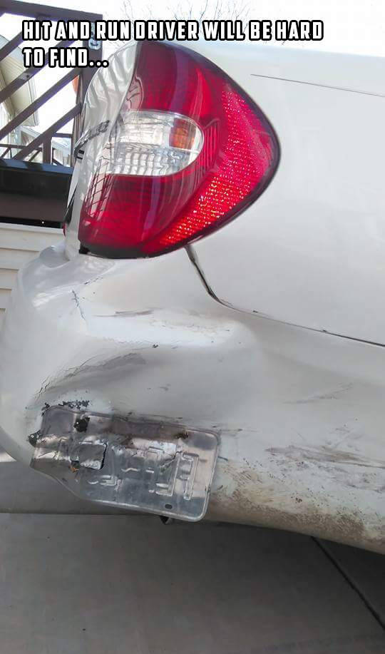 morning picdump 50 pics 2.html - 50 HD Photos | Premium Gallery 2015