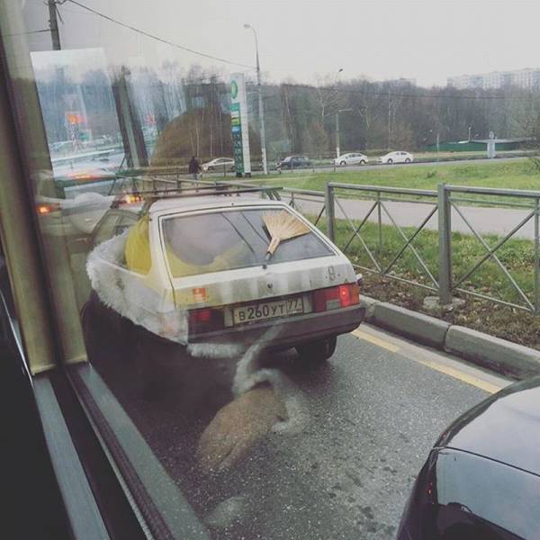 daily picdump 98 pics 36.html - 98 HD Photos | Premium Gallery 2015