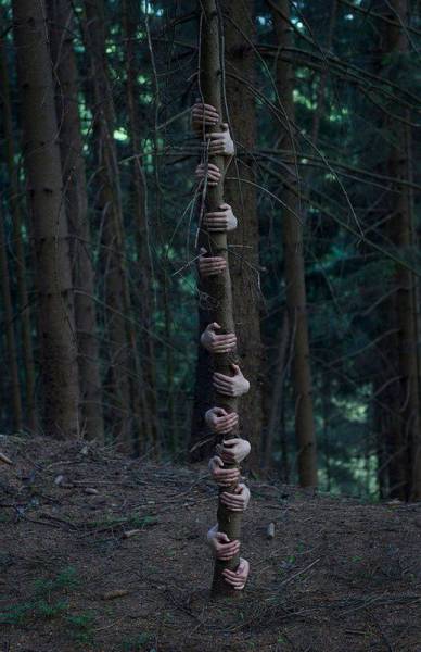 daily picdump 98 pics 36.html - 98 HD Photos | Premium Gallery 2015