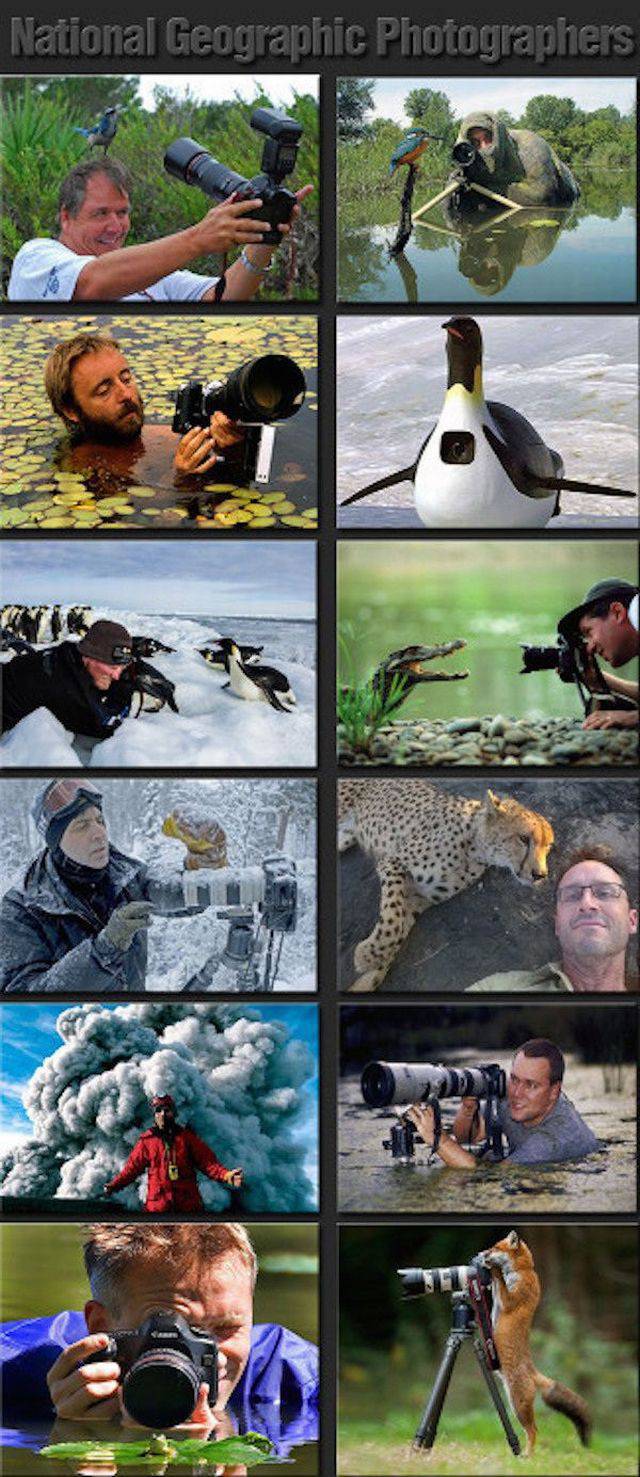 daily picdump 98 pics 36.html - 98 HD Photos | Premium Gallery 2015