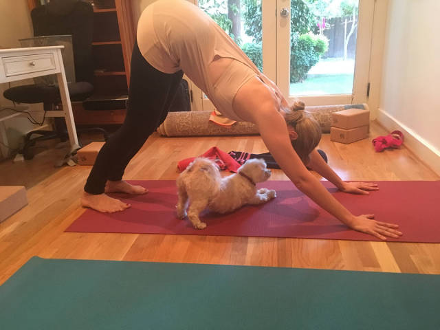 morning picdump 51 pics 2.html - 51 HD Photos | Premium Gallery 2015