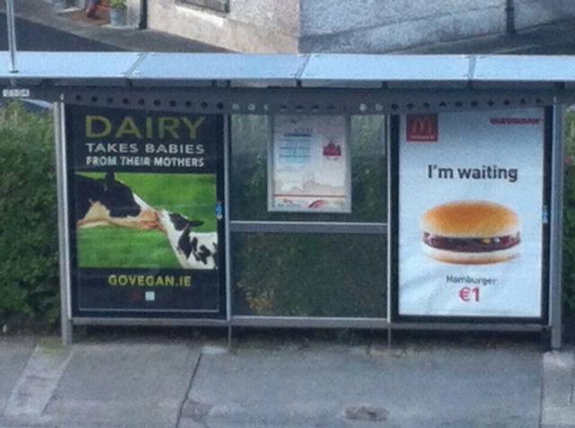 morning picdump 51 pics 2.html - 51 HD Photos | Premium Gallery 2015