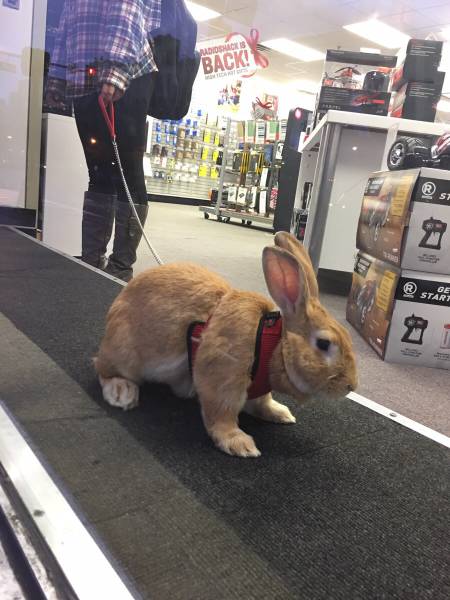 morning picdump 51 pics 2.html - 51 HD Photos | Premium Gallery 2015