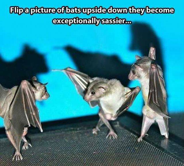 page,58,top 1500 daily pics of the year 2015.html - 1 HD Photos | Premium Gallery 2015