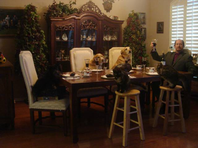 morning picdump 50 pics 2.html - 50 HD Photos | Premium Gallery 2015