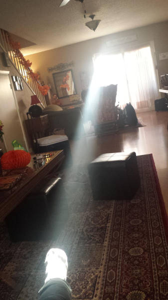 morning picdump 50 pics 2.html - 50 HD Photos | Premium Gallery 2015