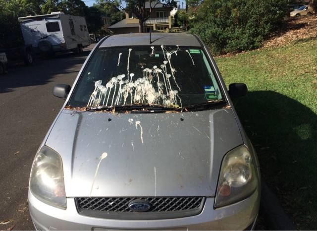 morning picdump 54 pics 3.html - 54 HD Photos | Premium Gallery 2015