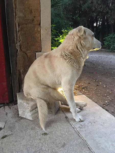 morning picdump 54 pics 3.html - 54 HD Photos | Premium Gallery 2015