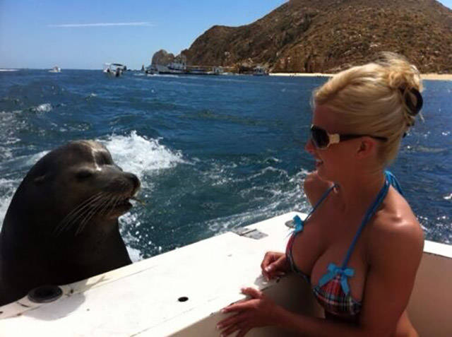 morning picdump 54 pics 3.html - 54 HD Photos | Premium Gallery 2015