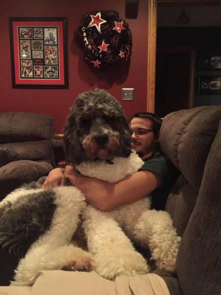 morning picdump 54 pics 3.html - 54 HD Photos | Premium Gallery 2015