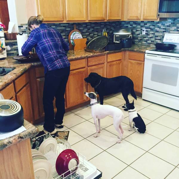 morning picdump 53 pics 18.html - 53 HD Photos | Premium Gallery 2015