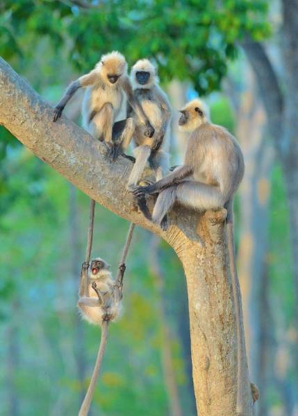 page,5,top 1500 daily pics of the year 2015.html - 1 HD Photos | Premium Gallery 2015