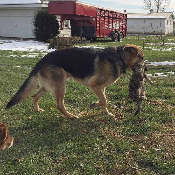 page,12,top 1500 daily pics of the year 2015.html - 1 HD Photos | Premium Gallery 2015