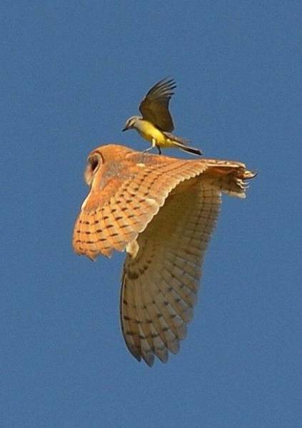 page,43,top 1500 daily pics of the year 2015.html - 1 HD Photos | Premium Gallery 2015