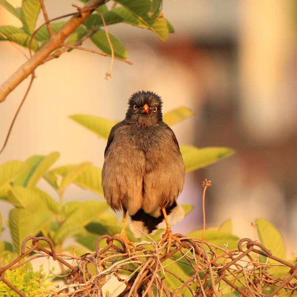 morning picdump 50 pics 3.html - 50 HD Photos | Premium Gallery 2015