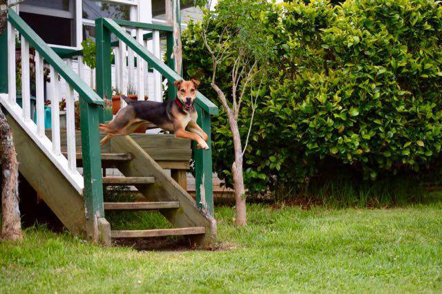 morning picdump 50 pics 3.html - 50 HD Photos | Premium Gallery 2015