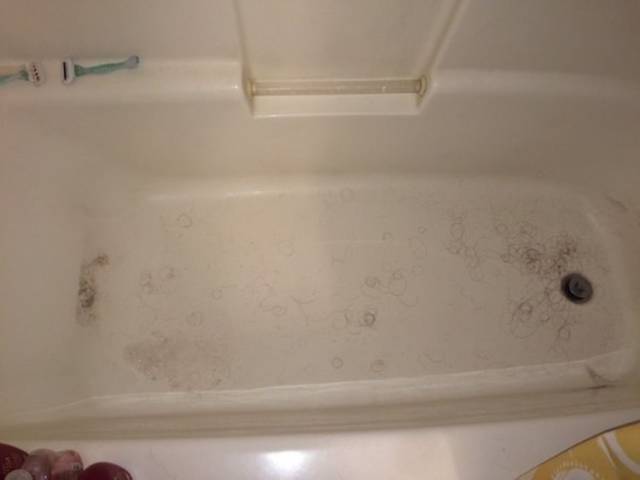 A Few Roommates from Hell