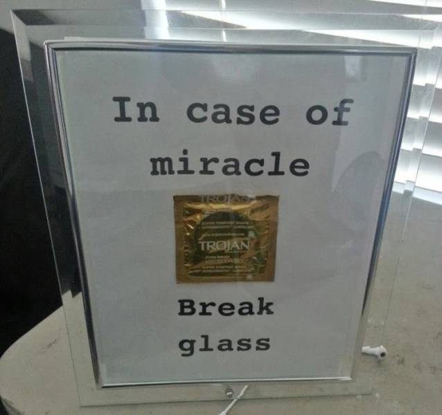 A Few Roommates from Hell