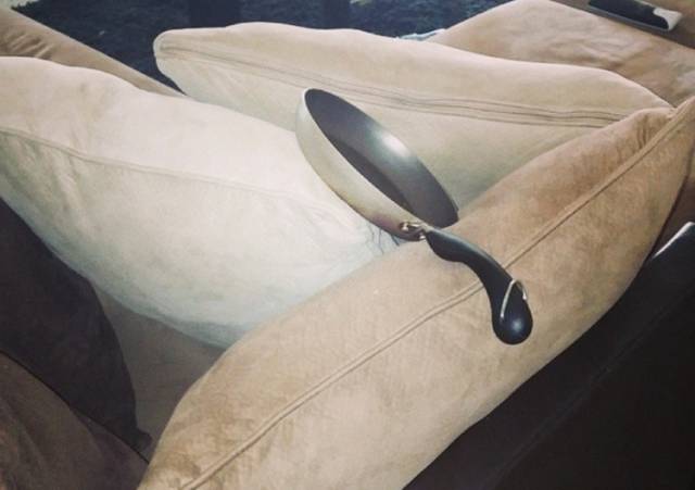 A Few Roommates from Hell