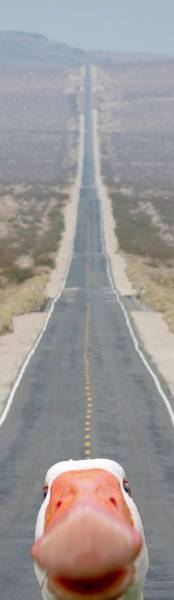 page,43,top 1500 daily pics of the year 2015.html - 1 HD Photos | Premium Gallery 2015