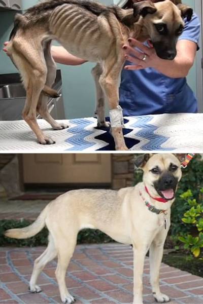 page,5,top 1500 daily pics of the year 2015.html - 1 HD Photos | Premium Gallery 2015