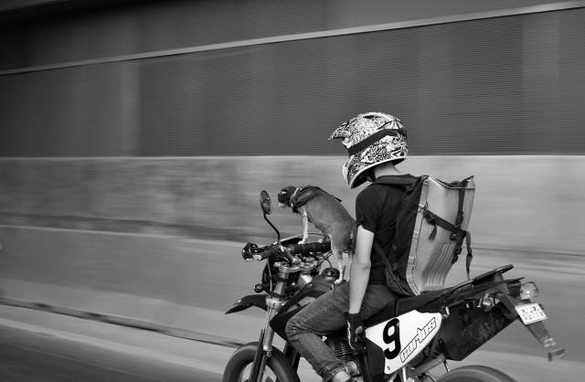 morning picdump 54 pics 4.html - 54 HD Photos | Premium Gallery 2015